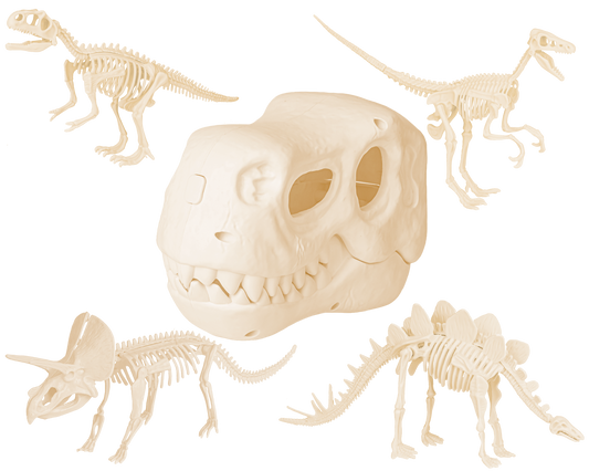 Cabeça de Dinossauro Fóssil Brinquedo Educativo Pré-Histórico